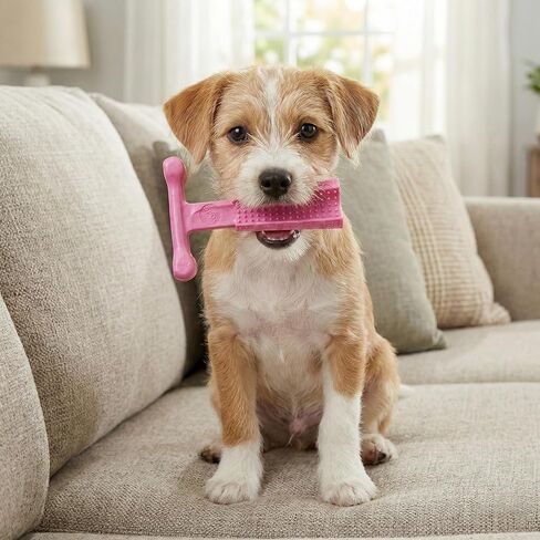 ألعاب مضغ الكلاب من SPOT Bam-Bones Puppy T-Bone، بنكهة الدجاج، 4 بوصات، عبوتان، ألياف الخيزران والمطاط المرن، تصميم سهل الإمساك للمضغ اللطيف والجراء والكلاب الصغيرة حتى 15 رطلاً in Kuwait