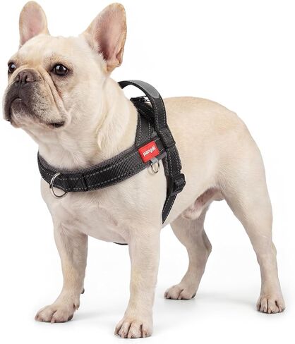 No Pull Dog Harness with Handle, Boston Terrier Adjustable Reflective Dog Vest, Breathable Air Mesh Padded Pet Harness with Front Leash Clip for Small Medium Dogs, Light Grey, M in Kuwait