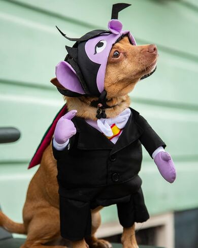 Pet Krewe The Count Vampire Dog Costume | Sesame Street Dracula Monster Pet Costumes for Dogs and Cats | Small Medium Large and X-Large in Kuwait