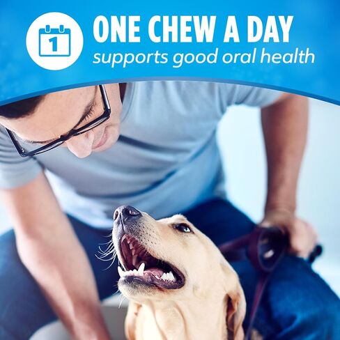 Purina DentaLife Daily Oral Care Dog Dental Chews for Small and Medium Breed Dogs - 90 ct. in Kuwait