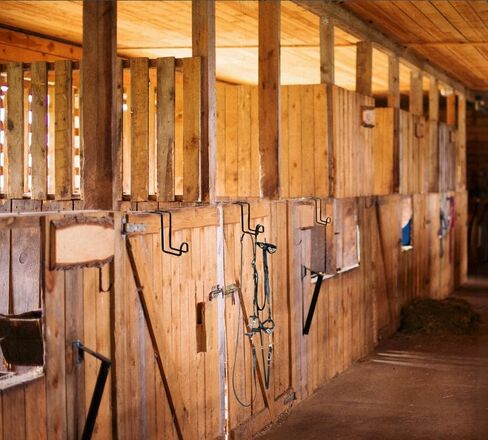 4Pcs 8 Inch Tack Hook,Heavy Duty Over Rail Bridle Hooks Horse Stall Hooks for Horse Tack Room,Stable,Barn,Trailer in Kuwait