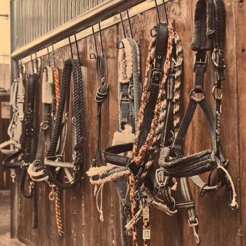 4Pcs 8 Inch Tack Hook,Heavy Duty Over Rail Bridle Hooks Horse Stall Hooks for Horse Tack Room,Stable,Barn,Trailer in Kuwait