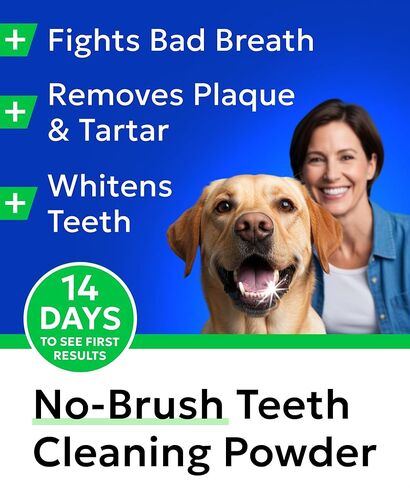 Bark&Spark Dog Teeth Cleaning Powder & Breath Freshener, Dental Powder Cleaner for Bright Teeth - Plaque and Bad Breath Advanced Remover for Dogs, Pet Oral Care Bright Co Lab Pro Formula - 90 Servings in Kuwait