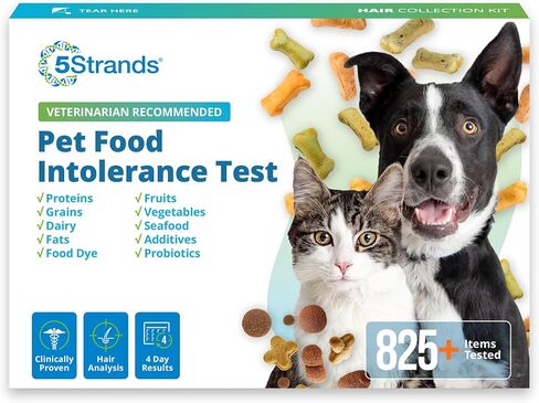اختبار 5Strands لعدم تحمل أغذية الحيوانات الأليفة، اختبار الحساسية المنزلي للكلاب والقطط، 825 عنصرًا تم اختباره، تحليل الشعر، دقيق لجميع الأعمار والسلالات، صحة أمعاء الحيوانات الأليفة، النتائج في 4 أيام in Kuwait
