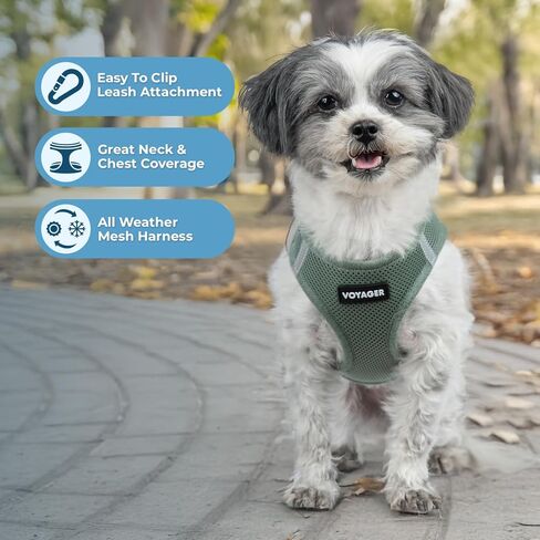 Best Pet Supplies Voyager Step-in Air Harness - All Weather Mesh, Reflective, No Pull Harness for Dogs, Cats - Secure with Hook & Loop Fastener, Buckle, Double D-Rings - Moss Green, M in Kuwait