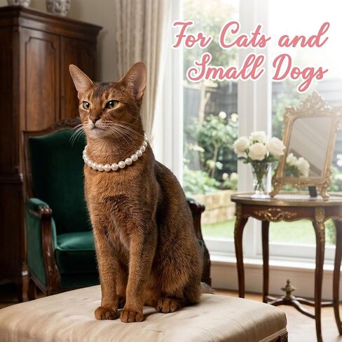 Thinp Chunky Pearl Dog Collar, Adjustable Dog Pearl Necklace Elegant Beaded Dogs Collar with White Pearls-Dog Jewelry Suit for Small Medium Large Dogs 17"-19" Inner Circumference in Kuwait