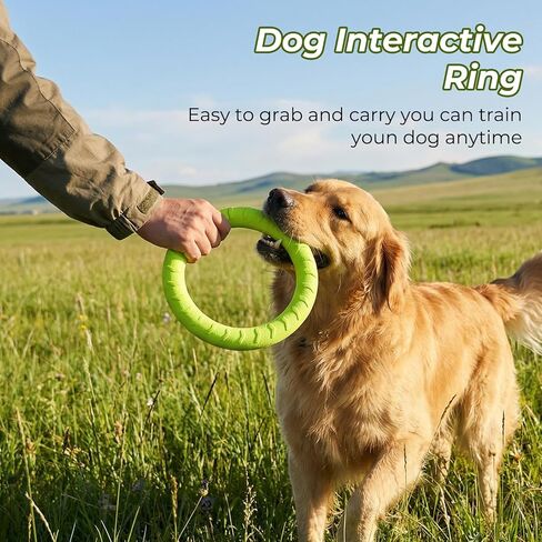 4 Pack 7.5 Inch Durable Dog Ring Toy Teething Rings Aggressive Chewer Floating Fetch Flying Disc for Large Medium Puppy Training Teeth Cleaning Outdoor Play in Kuwait