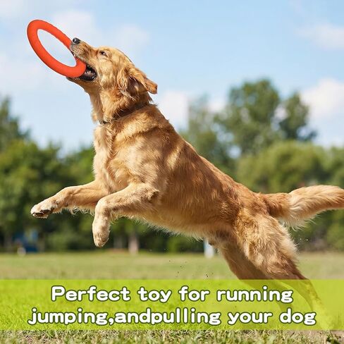 4 Pack 7.5 Inch Durable Dog Ring Toy Teething Rings Aggressive Chewer Floating Fetch Flying Disc for Large Medium Puppy Training Teeth Cleaning Outdoor Play in Kuwait