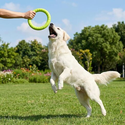 4 Pack 7.5 Inch Durable Dog Ring Toy Teething Rings Aggressive Chewer Floating Fetch Flying Disc for Large Medium Puppy Training Teeth Cleaning Outdoor Play in Kuwait