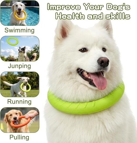 4 Pack 7.5 Inch Durable Dog Ring Toy Teething Rings Aggressive Chewer Floating Fetch Flying Disc for Large Medium Puppy Training Teeth Cleaning Outdoor Play in Kuwait