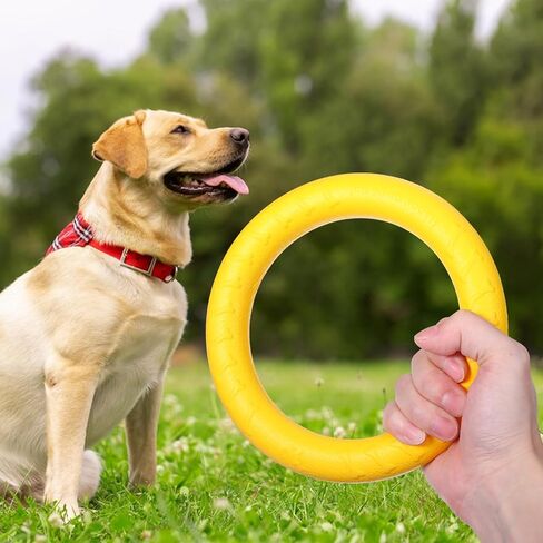6 Pack Dog Ring Toy, 7 Inch Durable Dog Training Chew Toy for Aggressive Pet Chewers, Floating Fetch Flying Disc Puppy Ring for Outdoor Play, Throwing, Catching & Teeth Cleaning in Kuwait