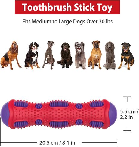 Gigwi Toothbrush Stick Dog Toy for Teeth Cleaning, Durable Rubber Dental Chewy Toy for Medium and Large Dog, Purple Color in Kuwait