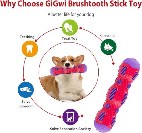 Gigwi Toothbrush Stick Dog Toy for Teeth Cleaning, Durable Rubber Dental Chewy Toy for Medium and Large Dog, Purple Color in Kuwait