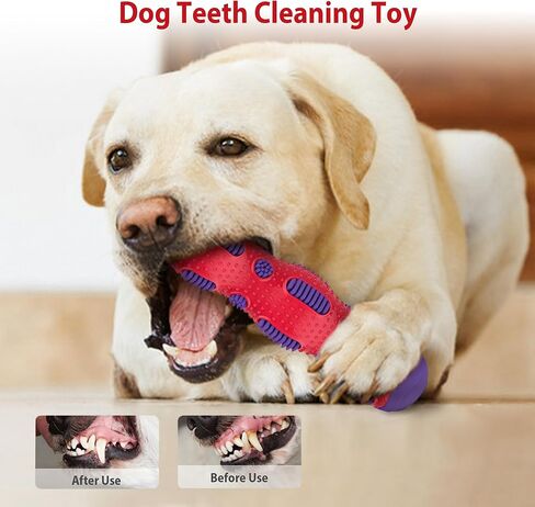 Gigwi Toothbrush Stick Dog Toy for Teeth Cleaning, Durable Rubber Dental Chewy Toy for Medium and Large Dog, Purple Color in Kuwait