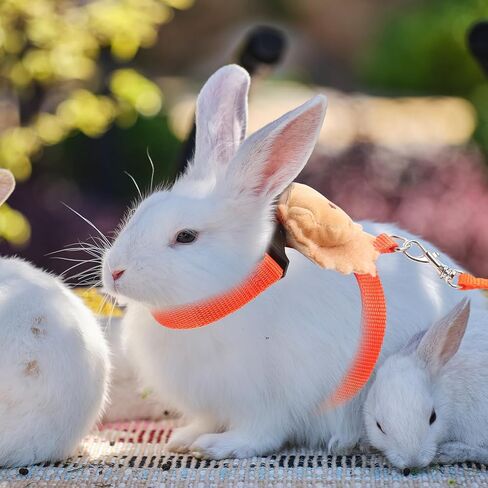 Sosoport Rabbit Harness Leash Set, Adjustable Small Pet Strap Traction Rope with Anti-Escape Design, Soft Breathable Mesh for Travel and Outdoor Use, Suitable for Dwarf Rabbits and Guinea in Kuwait