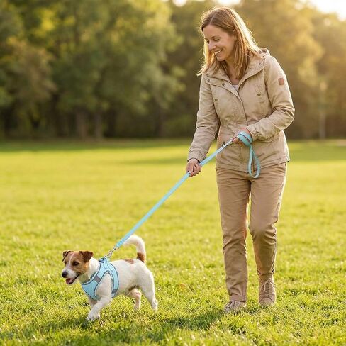 Small Dog Harness Reflective Adjustable Pet Vest in Blue with Soft Lining, Quick-Release Buckle and Dual Leash Attachment Points for Daily Walks and Outdoor Travel in Kuwait