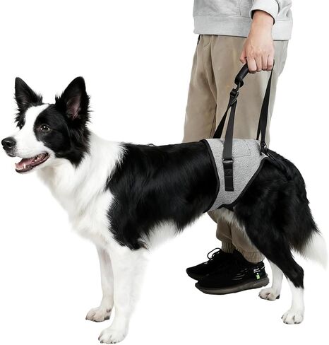 Dog Lift Harness for Dogs, Support Harness for Back Legs, Adjustable Rear Support Harness Grey X-Large in Kuwait