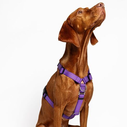 No Pull Y-Shape Dog Harness with Neck Buckle, Anatomically Correct, Non-Restrictive, 6-Point Adjustable, Escape-Proof, Reflective Easy-Fit for Small, Medium, Large Dogs (Purple, Medium) in Kuwait