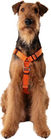 No Pull Y-Shape Dog Harness with Neck Buckle, Anatomically Correct, Non-Restrictive, 6-Point Adjustable, Escape-Proof, Reflective Easy-Fit for Small, Medium, Large Dogs (Purple, Medium) in Saudi Arabia