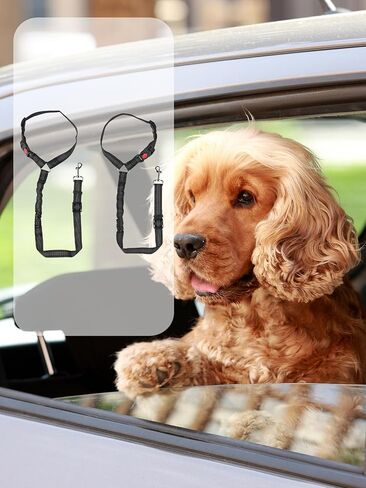 2 Pack Pet Harness, Adjustable Dog Car Seat Belt, 2 in 1 Pet Car Leash with Reflective Stitching, Elastic Band, Black in Kuwait