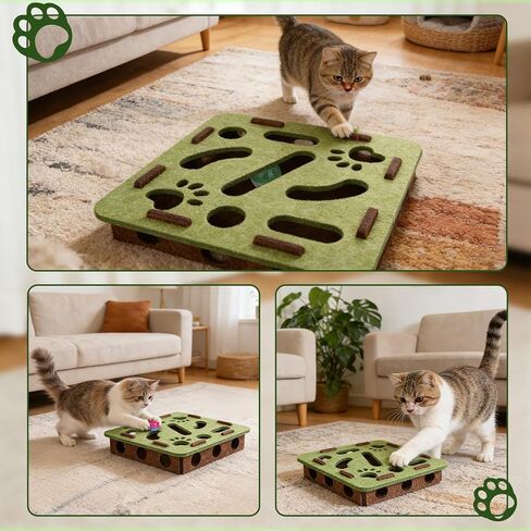 Pet Fit For Life Cat Puzzle Toy Indoor Mental Stimulation Felt Material Paws Track with 3 Interactive Balls with Bells, Enrichment Box for Hunting, Exercise, Self Play and Fun for Cats – Green & Blue in Kuwait