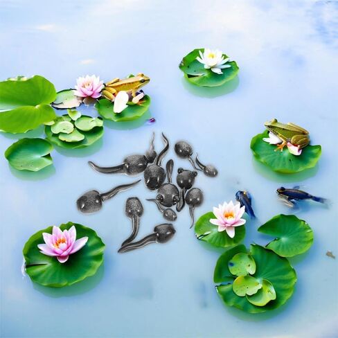 Toddmomy 26Pcs Miniature Tadpole Figurines for Moss Micro Landscape Decoration Realistic Small Animal Ornaments for Home Office Terrarium Aquarium in Kuwait