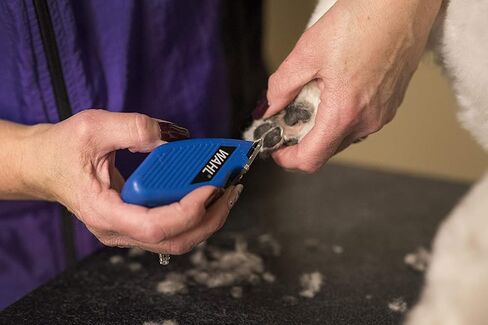 Wahl Professional Animal Pocket Pro Equine Compact Horse Trimmer ومجموعة العناية - أزرق in Kuwait