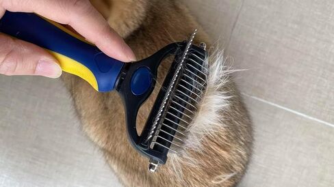 2-in-1 Cat Brush for Shedding - Double-Sided Undercoat Rake for Long Haired Cats - Professional Dematting Tool for Dense Double-Coats - Gentle Deshedding Brush for Kittens, Blue in Kuwait