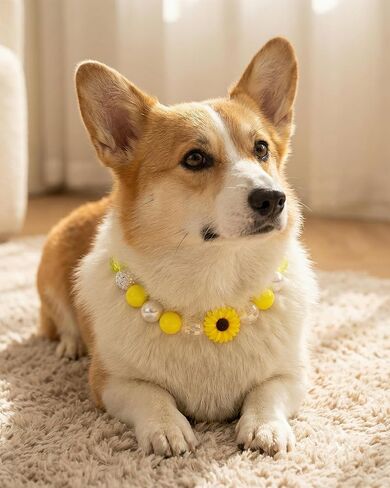 Hosiwei Yellow Daisy Handmade Chunky Pearl Dog Collar Necklace (Beads 20 mm) with Strong Stainless Steel Wire, Adjustable Fashion Collar Accessories for Dogs | Gift for Dog Moms (15.5" – 17.5", Daisy) in Kuwait