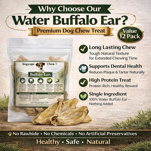 Pure Natural Grass Fed Water Buffalo Ear - 12 piece Value Pack Tough Dog Chew and Treat for Aggressive Chewers and Puppies in Kuwait