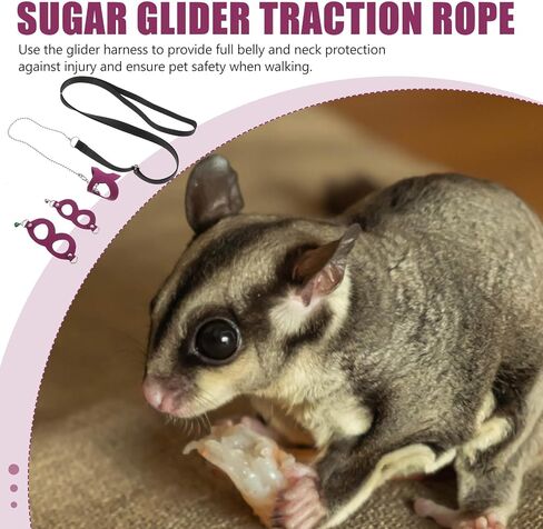Adjustable Sugar Glider Harness Leash with Bell, Purple Small Pet Traction Rope for Outdoor Walking and Training Style in Kuwait
