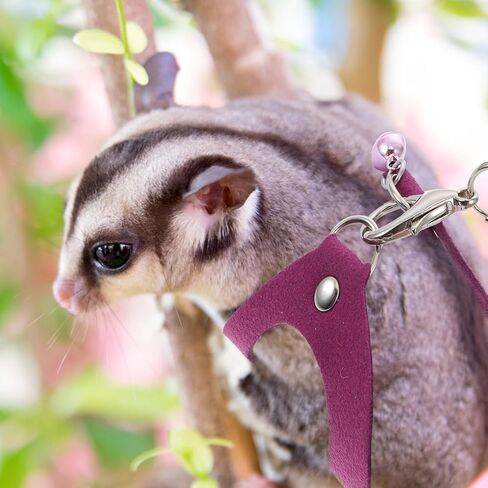 Adjustable Sugar Glider Harness Leash with Bell, Purple Small Pet Traction Rope for Outdoor Walking and Training Style in Kuwait
