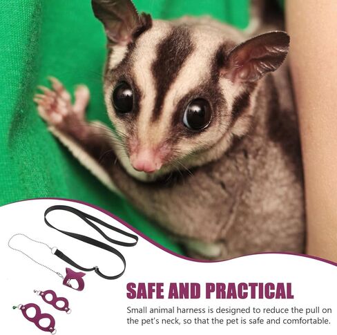 Adjustable Sugar Glider Harness Leash with Bell, Purple Small Pet Traction Rope for Outdoor Walking and Training Style in Kuwait