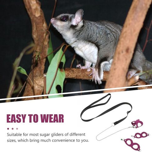 Adjustable Sugar Glider Harness Leash with Bell, Purple Small Pet Traction Rope for Outdoor Walking and Training Style in Kuwait