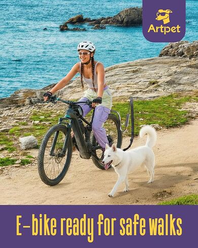 Hands-Free Bike Attachment for Dogs, Bicycle Running Leash with Shock Absorbing Spring, Safe Riding Accessory for Medium & Large Pets, Easy Install Cycling Companion, Silver in Kuwait