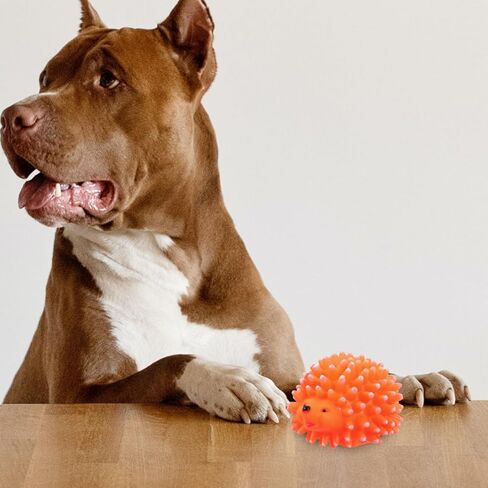 FRCOLOR Squeaky Latex Hedgehog Dog Toy 2Pcs Chew Toys for Puppies Interactive Dental Supplies in Kuwait