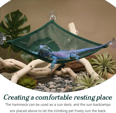 2Pcs Reptile Hammock - Breathable Mesh Bearded Dragon Hammock Lizard Tank Accessories Triangle Geckos Hammocks for Bearded Dragons Snakes Axolotls(Green) in Kuwait