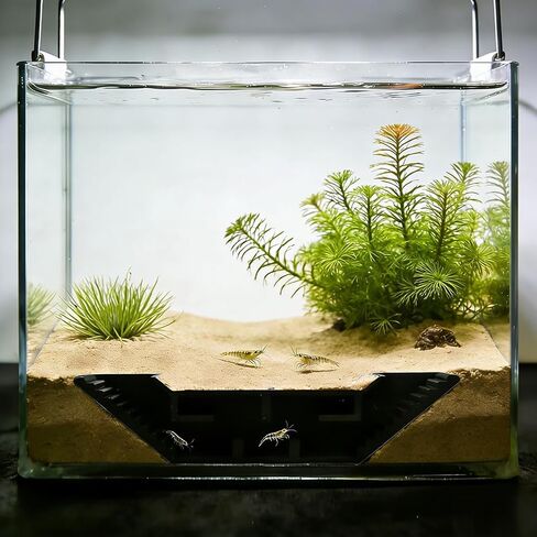 Aquarium Underground Tunnel, Fish & Shrimp Hideout, Fish Tank Decor Decoration Hideout Aquarium Shrimps Breeding Cave Perfect for Small Shrimp, Cherry Shrimp, Dwarf Shrimp (Color:Black) in Kuwait