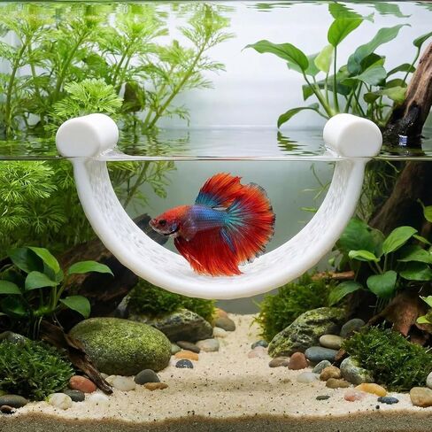 Betta Hammock Set, Betta Fish Feeding Rings and Tunnel, Small Fish Hideout, Toys, Bed as Fish Tank Accessories (2 Feeding Rings + 1 Hammock) in Kuwait