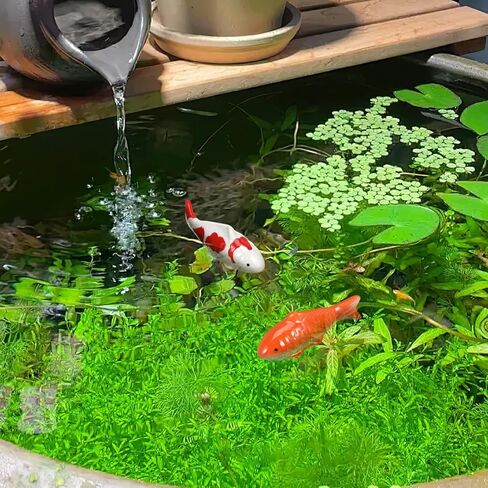 UPKOCH 2pcs Floating Ceramic Fake Fish Aquarium Decor Lifelike Koi Goldfish Ornaments for Outdoor Garden Pond Bowl Bathtub Water Tank in Kuwait