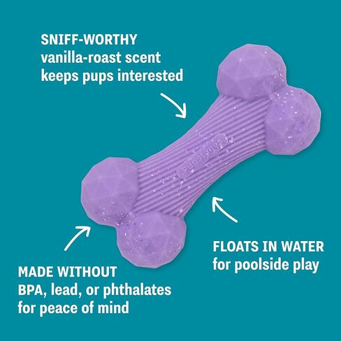 Flex-Force Bone Dog Toy for Fetch & Chew, Unpredictable Bounce, Floats in Water, Vanilla-Roast Scent for Sensory Play, Tough Chewers, Medium & Large Breeds (25-100+ lbs), 6.5" in Kuwait