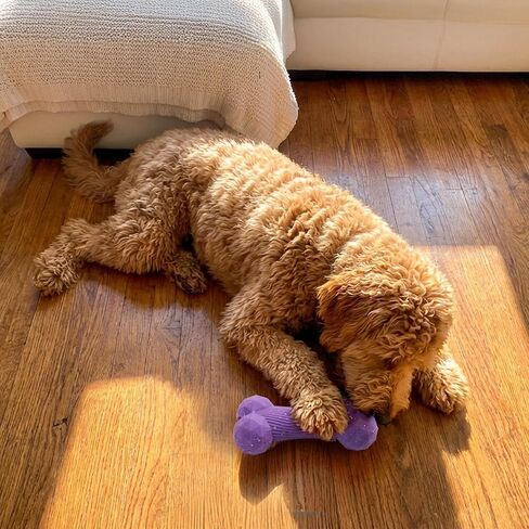 Flex-Force Bone Dog Toy for Fetch & Chew, Unpredictable Bounce, Floats in Water, Vanilla-Roast Scent for Sensory Play, Tough Chewers, Medium & Large Breeds (25-100+ lbs), 6.5" in Kuwait