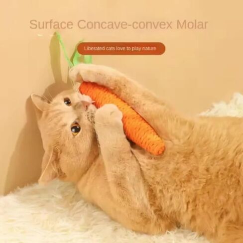 Cat Toy Carrot Sound Pet Products Bite Resistant Paper Rope Scratcher Clean Teeth Interactive Play Cat Carrot Chew Toy for Cat in Kuwait