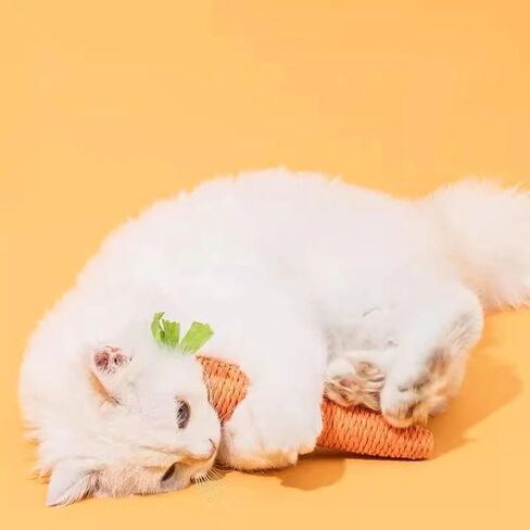 Cat Toy Carrot Sound Pet Products Bite Resistant Paper Rope Scratcher Clean Teeth Interactive Play Cat Carrot Chew Toy for Cat in Kuwait