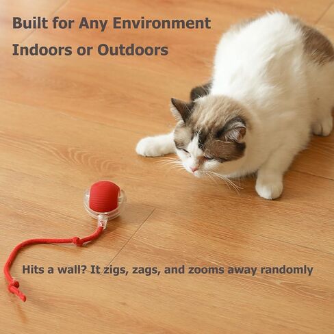 Interactive Electric Ball for Cats and Dogs – USB Rechargeable Automatic Chase Toy with Speedy Tail, Self-Playing Moving Pet Toy to Keep Them Busy. Ideal for Bored Indoor Cats & Anti-Boredom (Blue) in Saudi Arabia