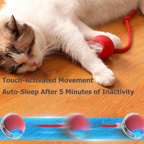 Interactive Electric Ball for Cats and Dogs – USB Rechargeable Automatic Chase Toy with Speedy Tail, Self-Playing Moving Pet Toy to Keep Them Busy. Ideal for Bored Indoor Cats & Anti-Boredom (Blue) in Saudi Arabia