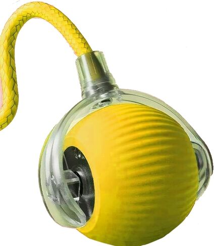 Interactive Electric Ball for Cats and Dogs – USB Rechargeable Automatic Chase Toy with Speedy Tail, Self-Playing Moving Pet Toy to Keep Them Busy. Ideal for Bored Indoor Cats & Anti-Boredom (Blue) in Saudi Arabia