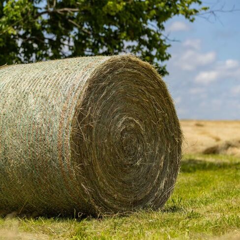 Ag Rite Premium Round Bale Net Wrap | Green | High-Strength UV Stabilized Agricultural Baling Wrap for Hay, Corn Stalks, Alfalfa and More! | (67 in x 7,000 ft) (1) in Saudi Arabia