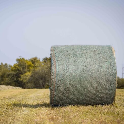 Ag Rite Premium Round Bale Net Wrap | Green | High-Strength UV Stabilized Agricultural Baling Wrap for Hay, Corn Stalks, Alfalfa and More! | (67 in x 7,000 ft) (1) in Saudi Arabia