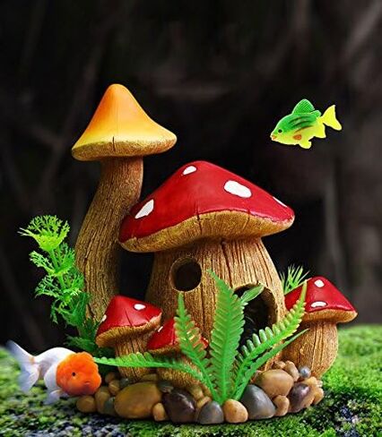 Saim Aquarium Mushroom House - ديكور حوض أسماك من الراتنج الأحمر مع قطعتين من الأسماك البلاستيكية الصغيرة (لون عشوائي)، كهف مخبأ للبيتا والروبيان والأسماك الذهبية والزواحف - مقاس 5.5 بوصة طول × 3.6 بوصة عرض × 6.3 بوصة ارتفاع in Kuwait